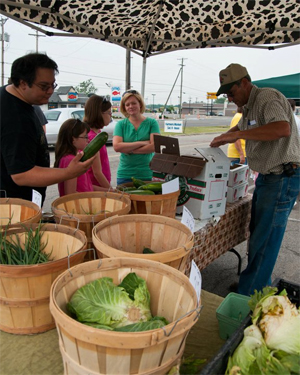Market Stand