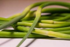 Garlic Scapes